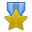 Medal-Gold-icon.png