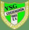 VSG 1960 Cossengrn e.V Fans