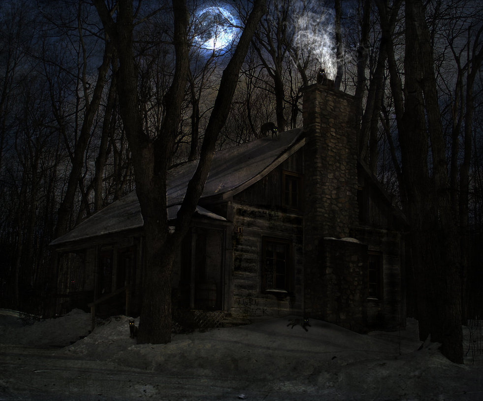 The_Witch__s_House_by_Luckywolf_13.jpg