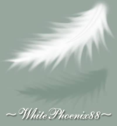 Feather_ID_by_Whitephoenix88.png