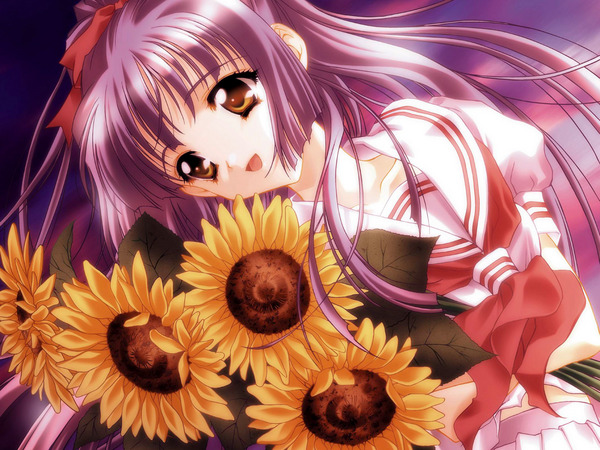 Sonnenblumen_Anime_Girl_max600.jpg