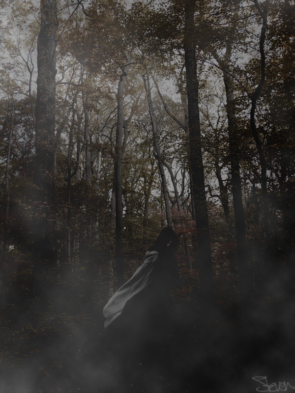 Dark_Forrest_by_Death_By_Romance.jpg