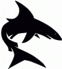 Black Shark BSC