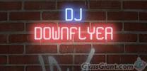 DJ Downflyer - The Party-Community