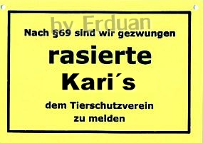 neu_kari.jpg