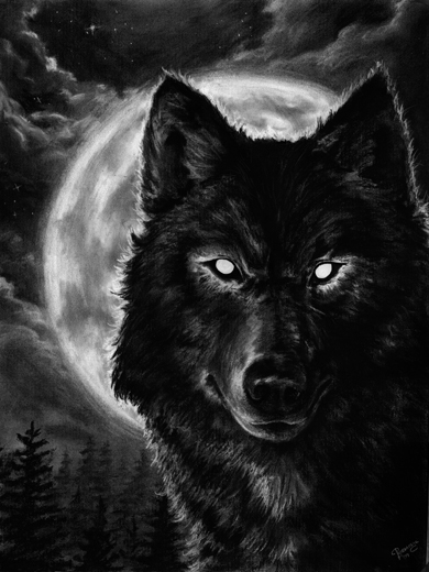 Night_Wolf_by_kalessaradan.jpg