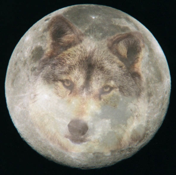 Wolf_Moon_by_Kyyril.jpg