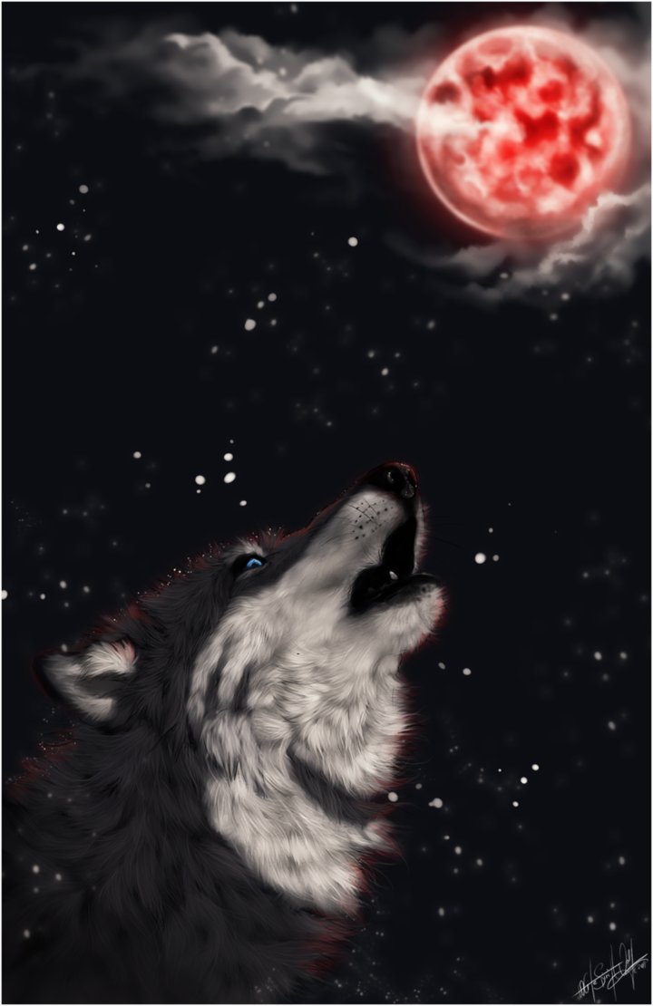 ___red_moon____by_whitespiritwolf-d368cwlpng.jpeg