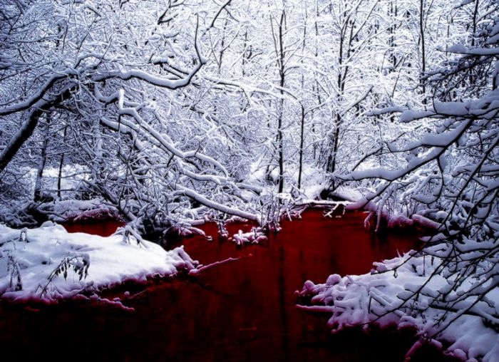 fluss-mit-blut-im-winter.jpg