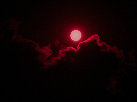 red_moon_rising_by_pureonefromthemeadow.jpg