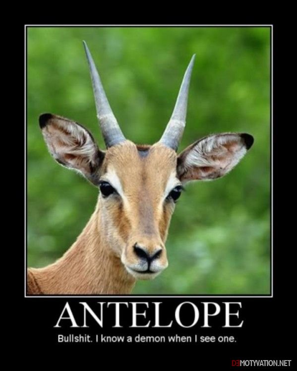 1298028399_demotivational-pictures-antelope.jpg