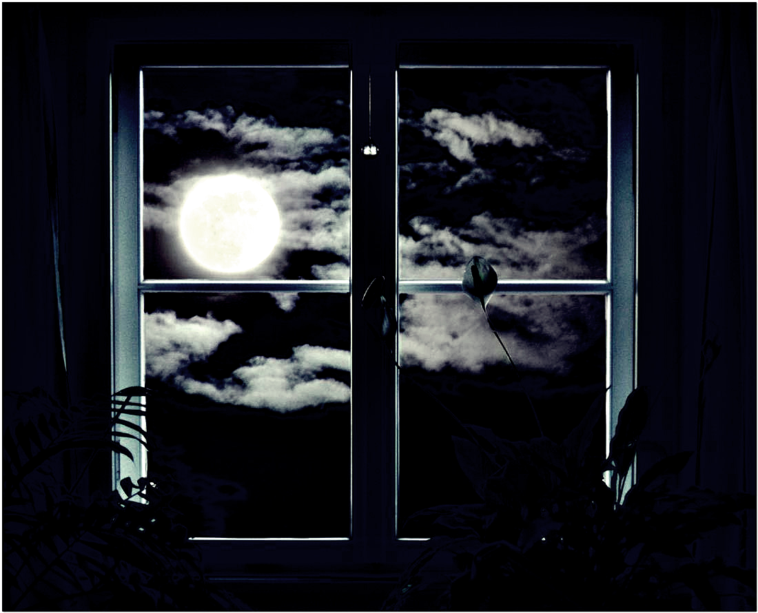 Fensterblick.png