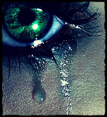 auge.png