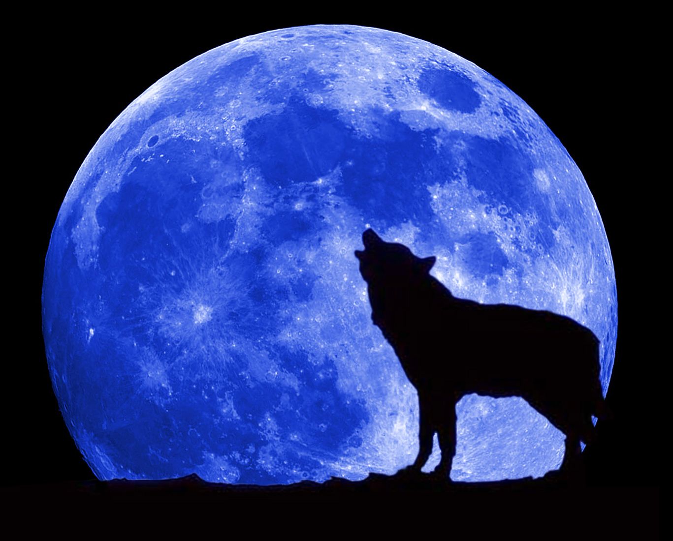 mond_wolf.jpg