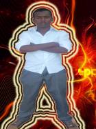 xareed