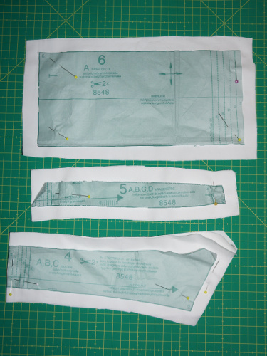DSC00137kl.jpg