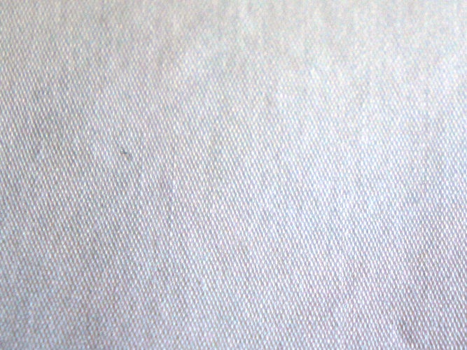 DSC00379kl.jpg