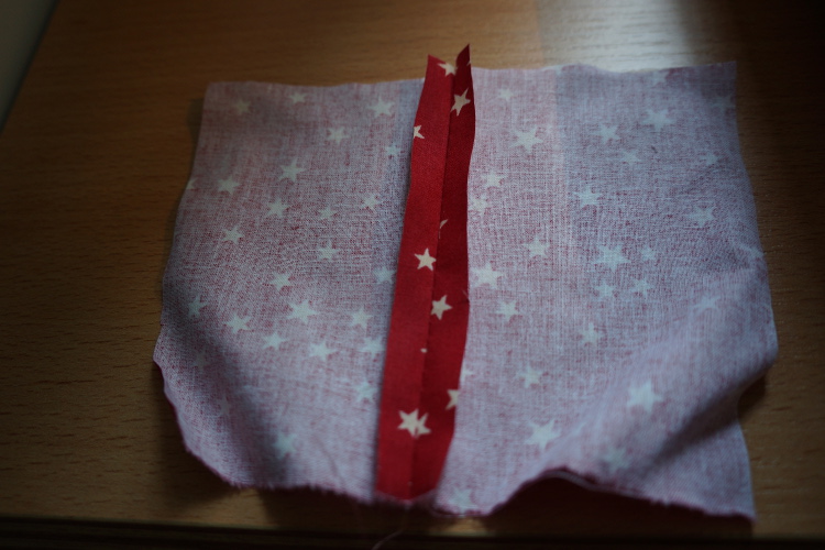 DSC00480kl.jpg